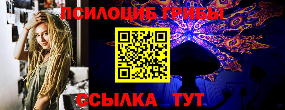 Егорьевск  где купить наркотик  Вход с VPN  Галлюциногенные грибы MAGIC MUSHROOMS  Псилоцибиновые грибы Magic Shrooms 