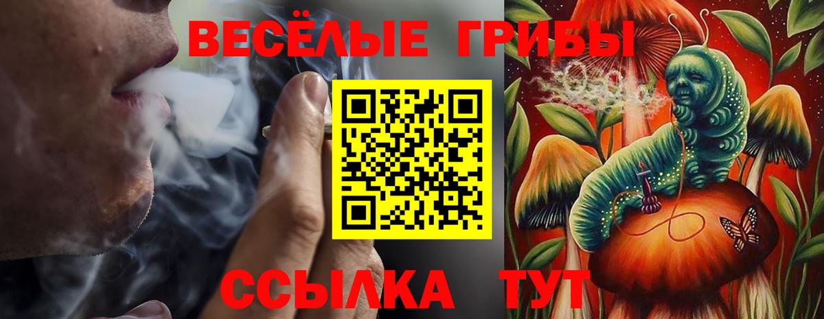 Галлюциногенные грибы ЛСД Егорьевск