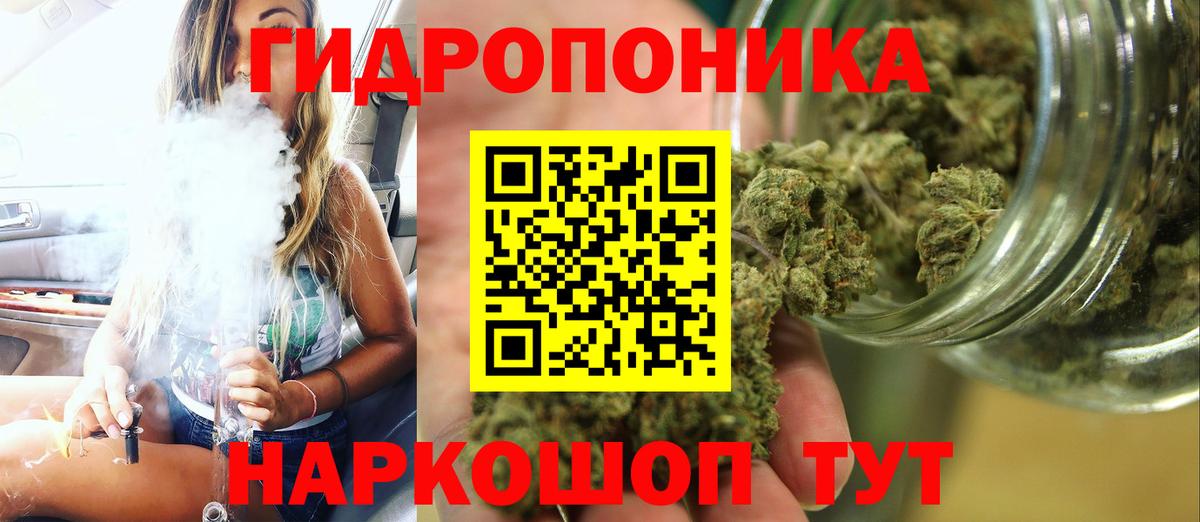 Бошки Шишки семена Егорьевск
